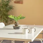 Tagoropark Relax 아파트 코스타델실렌시오